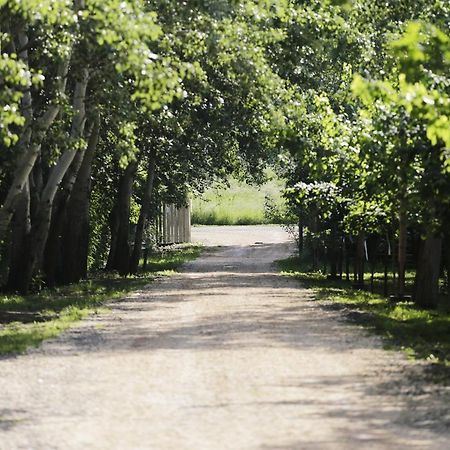Antal-Tavi Fogado Es Horgaszparadicsom Szentes Exterior foto