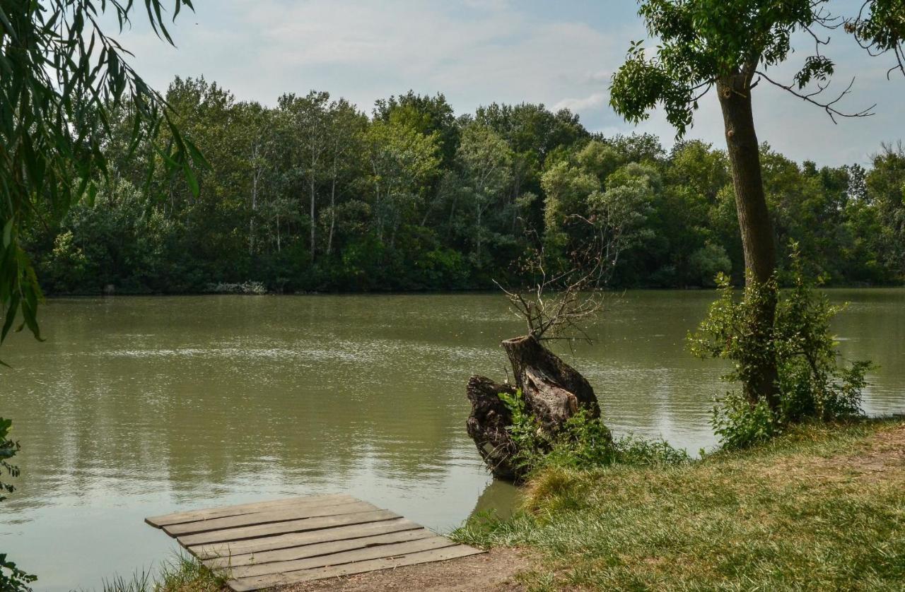 Antal-Tavi Fogado Es Horgaszparadicsom Szentes Exterior foto